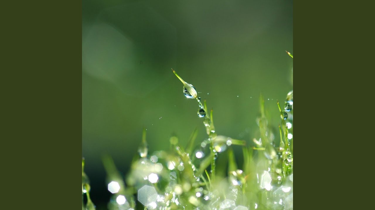 Cho Em Mot Con Duong