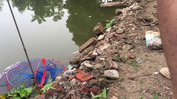 Lăng Xê Dính Chép - Cá kéo lancer - -Video Do em Nguyễn Linh Gửi