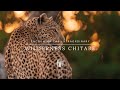 Wilderness Chitabe: Encounter the Extraordinary
