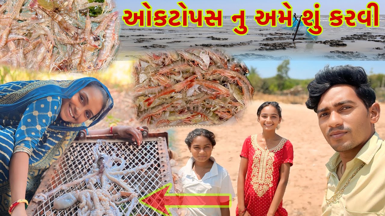 બંધણ કાઢવુ પડશે 🥅🦐Jinga fishing 🎣dariyai khedut