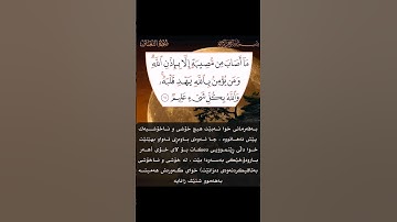 سورة التغابن اية ١١