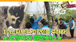[TV 동물농장 레전드] ’나무 위 고양이와 할벤져스’ 풀버전 다시보기 I TV동물농장 (Animal Farm) | SBS Story