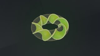 Celebrity Mobius Strip inside torus - Blender geometry nodes Net Worth