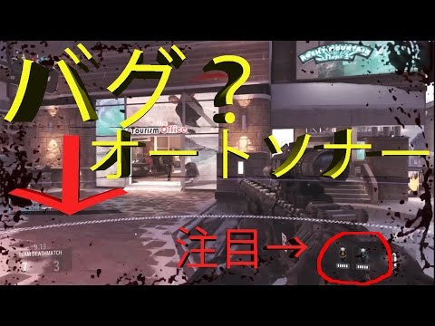 【COD AW】皆さんもこのバグありますか？