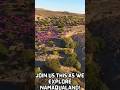 Inside South Africa S Most Colourful Spring Escape What It S Like To Visit Namaqualand Travel 