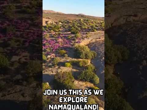 Inside South Africa S Most Colourful Spring Escape What It S Like To Visit Namaqualand Travel 