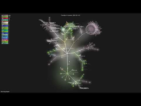 elixir-lang/expert - Gource visualisation