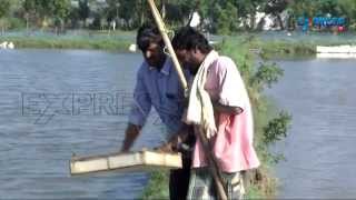 Vannamei Prawn Cultivation | Precautions in Winter Season | Paadi Pantalu