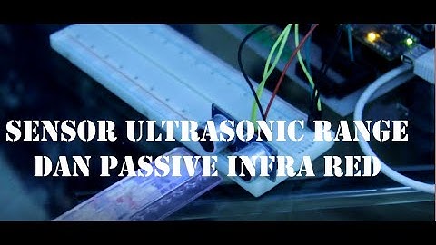 DIY Pemberi makan kucing otomatis berbasis sensor ultrasonic dan passive infrared