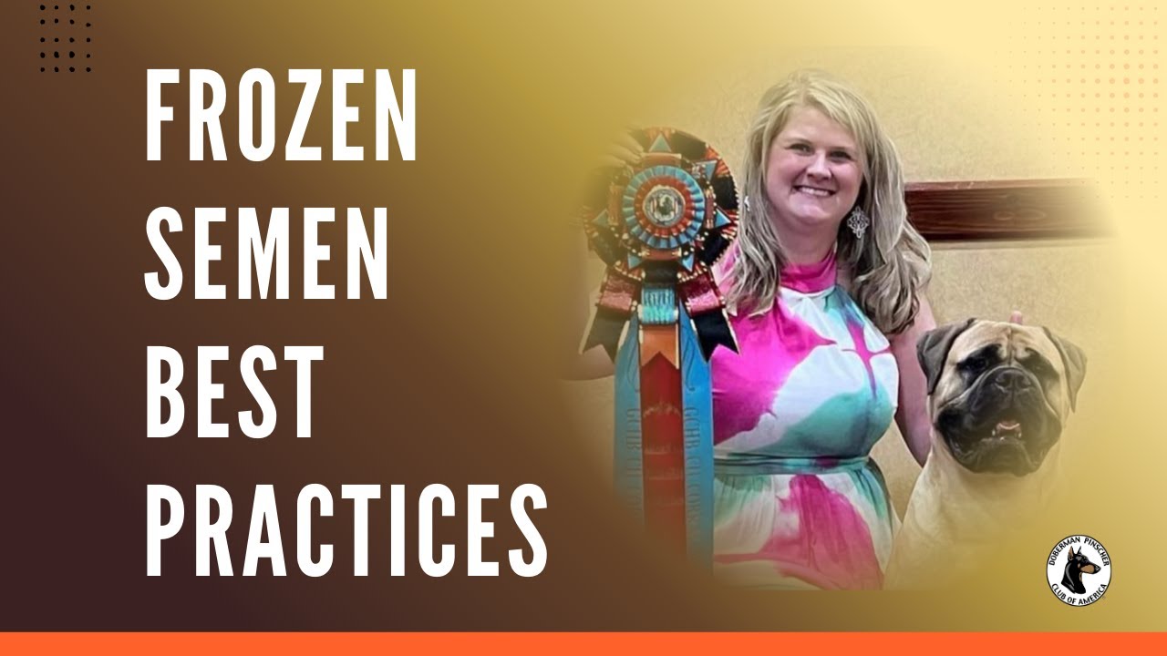 Frozen Semen in the Doberman | Best Practices Seminar