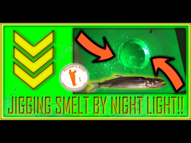 Jigging Smelt: Ice To Table! Fishing At Night With A Night Light