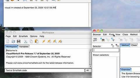 Tutorial: VisualWorks Product Overview - Tabbed Browsers