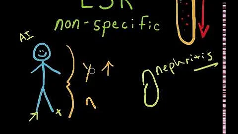 ESR Blood Test (Erythrocyte Sedimentation Rate)