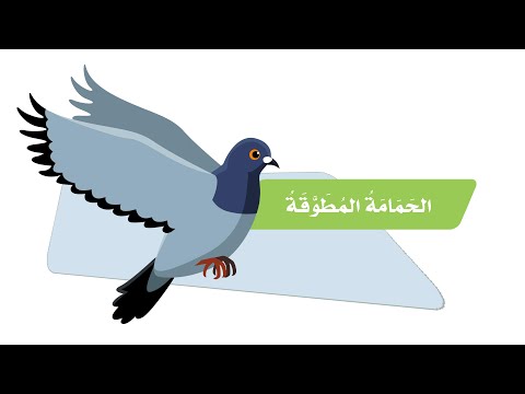 نص الإستماع الحمامة المطوقة الصف الرابع إبتدائي الطالبة المبدعة رودينا