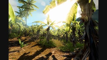 Beauty of Crysis and CryEngine 2 - Nature of Crysis.