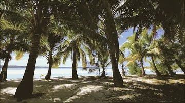 سورة الشمس للشيخ محمود خليل الحصري