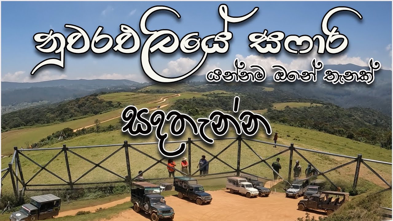 Nuwara Eliye I Sadathanna I Safari I Sri Lanka l Trip 2023