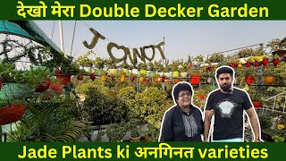 देखो मेरा Double Decker Garden | स्वर्ग सा सुंदर गार्डन 🥰 | Jade Plants ki अनगिनत varieties