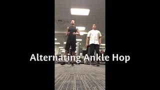 PJF Performance - Week 4 - VERTCODE ELITE