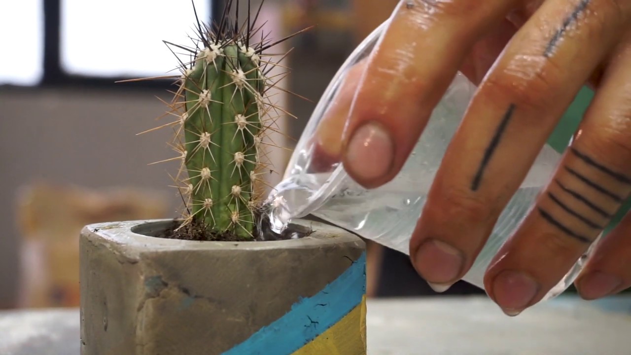 Süt Kabından Beton Saksı Nasıl Yapılır?