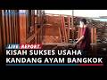 Kisah Iwan Pebrilian Sukses Kembangkan Usaha Kandang Ayam Bangkok Premium Secara Otodidak