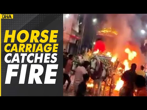 Gujarat: Groom’s carriage catches fire during wedding, video goes viral