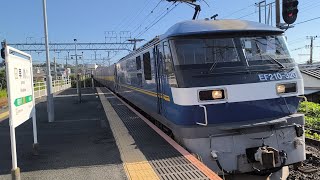 [ジョイント音最高！]2059レ EF210-320号機 コンテナ車20両 西濃カンガルーライナー 早川駅1番線を通過するシーン