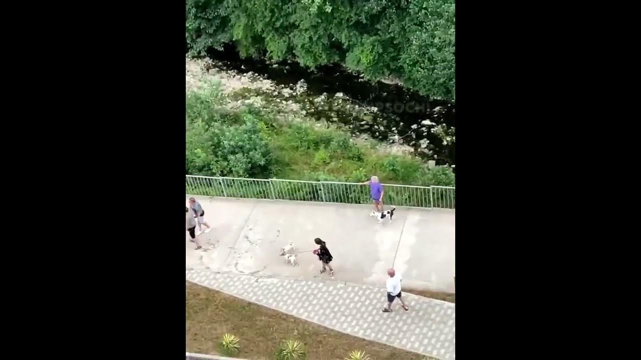 Видео в сочи девушку. Адлер пляж девушки. Сочи пляж девушки. Адлер пляж девушки. Видео в сочи девушку.