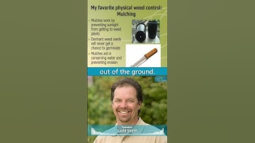 Mulching For Weed Control