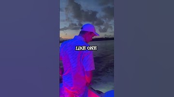 Stop Scrolling! Your Dreams Are Waiting—Get Up Now!