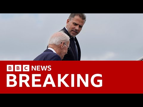 US President Joe Biden's son Hunter indicted on federal gun charges – BBC News