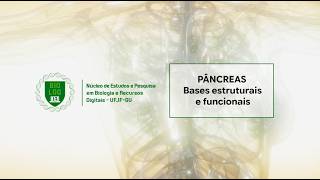 Pâncreas - bases estruturais e funcionais
