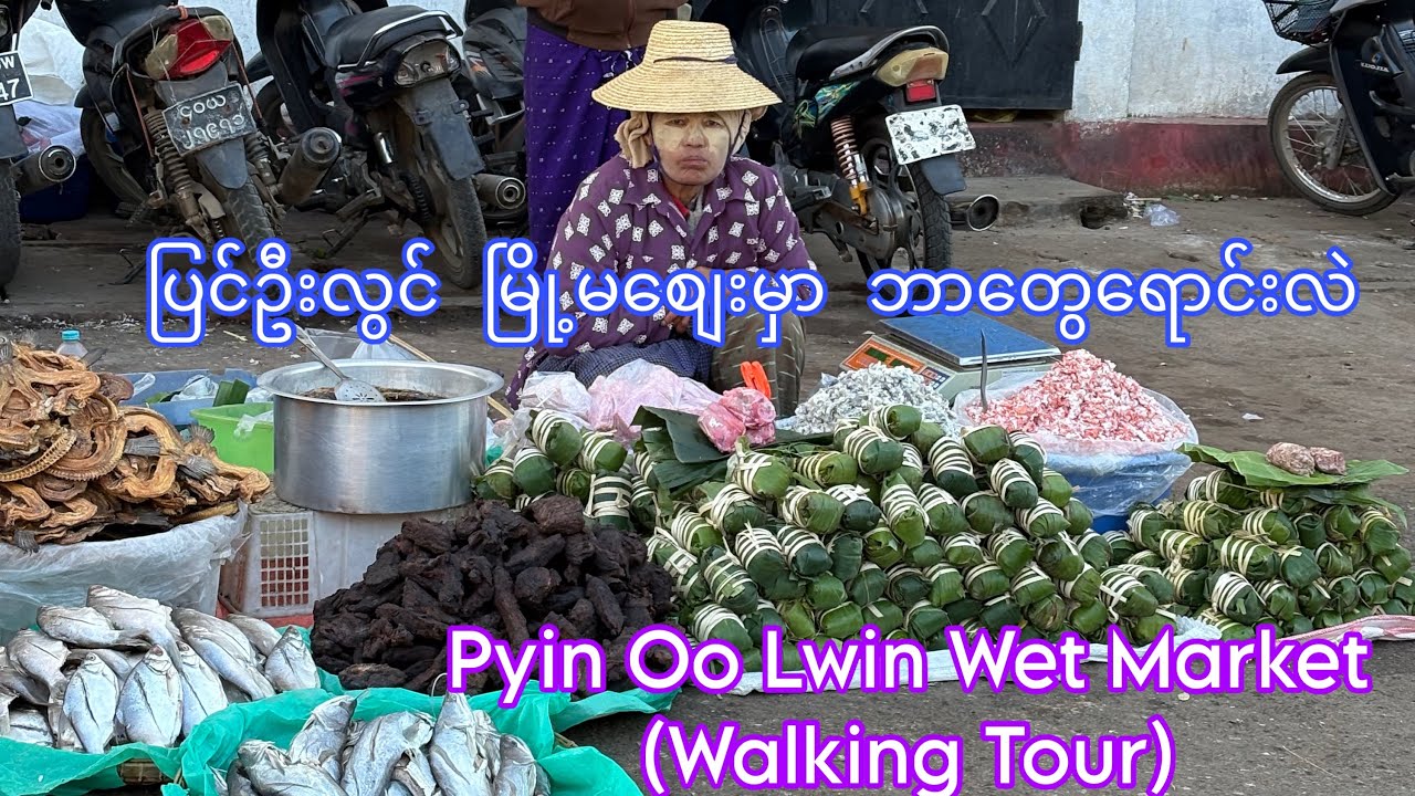 ပြင်ဦးလွင် မြို့မစျေး တစ်ပတ်ပတ်ကြည့်မယ် ! Pyin Oo Lwin Wet Market