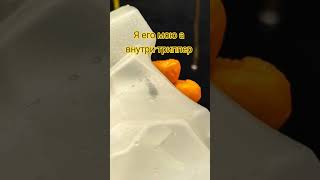 Я его мою а внутри триппер появляется!