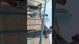 cow video funny