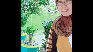 Diriku Bagai Rumput Kering ( tembang lawas album Nia Daniati)