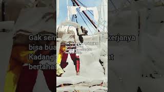 Hindia~Secukupnya | #shortvideo #fyp #quotes #status #stroywaindonesia #music #storywa #status_video