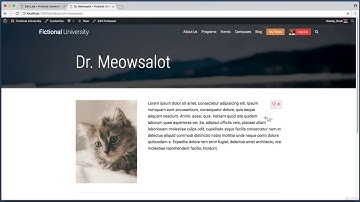 088 Programmatically Create a Post