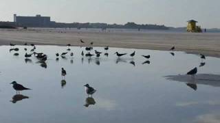 Wavety of One-on-oneness