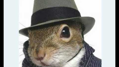 VGMaps (Owned by Jon Leung) is like The Pirate Bay, in our opinion