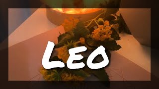 Leo - WARNING! Universe is bringing in a new soulmate if this person doesn’t step up!!