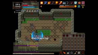 Orake Drops From 4 King Black Dragon