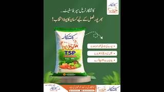 Kashtkar Fertilizer TSP (Triple Super Phosphate) #KashtkarFertilizer #Kashtkar #fertilizer #tsp