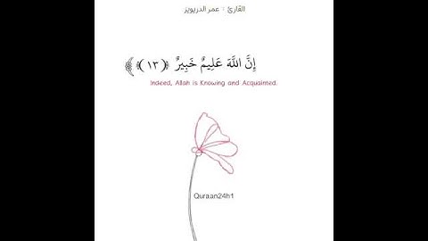طبطبة حانية على قلبك القارئ عمر الدريويز | إن أكرمكم عند الله اتقاكم