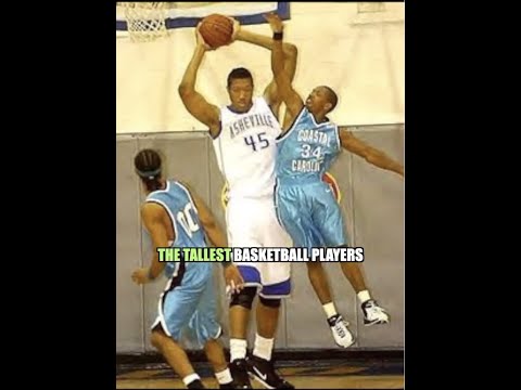 TALLEST BASKETBALL PLAYERS OF ALL-TIME! 😳 #shorts
