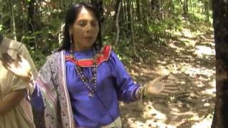 Amazon Experience, Shaman sings an Icaro for peace.