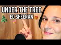 UNDER THE TREE - ED SHEERAN🎄 @EdSheeran #underthetree #edsheeran #thatchristmas #christmas