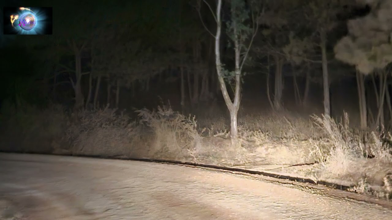 NIAM TAIS YAWM TXIV TUA VAUV POV TSEG December 19, 2024