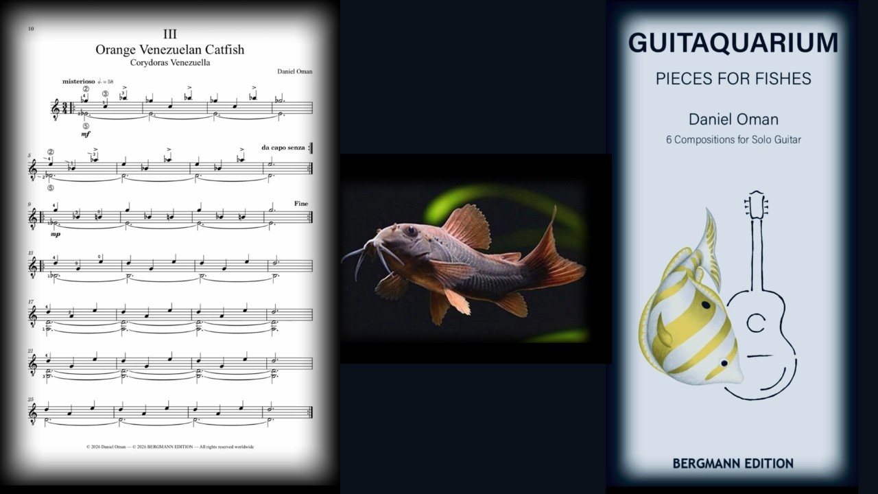 VENEZUELAN CATFISH // DANIEL OMAN - GUITAR // GUITAQAUARIUM
