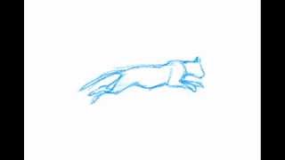 Cat Leaping (Muybridge) 2D animation